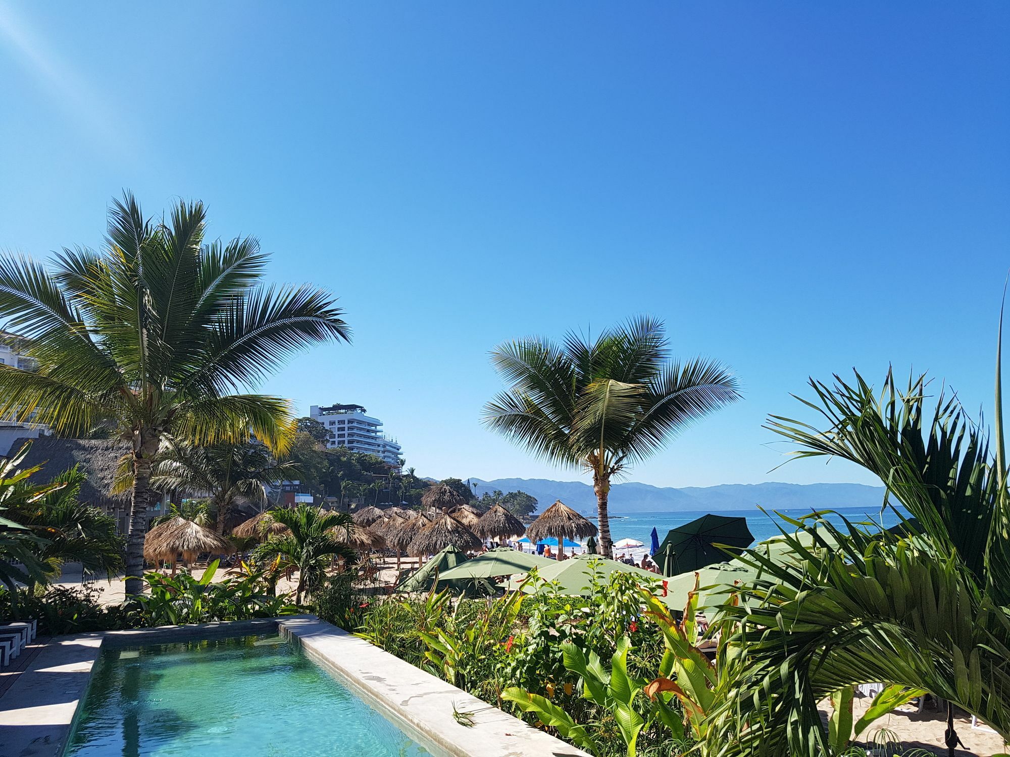 Suites At Sapphire Ocean Club بويرتو فالارتا المظهر الخارجي الصورة